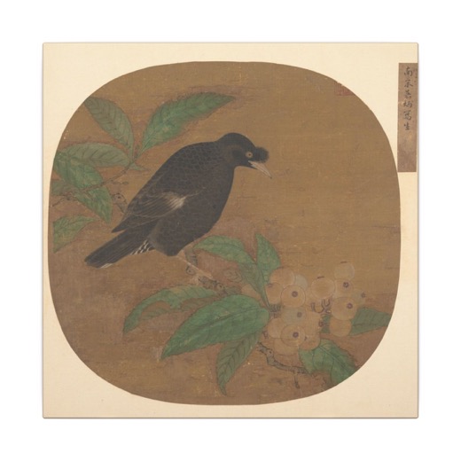 Minah Bird on a Loquat Branch on 12 × 12 matte canvas, front.