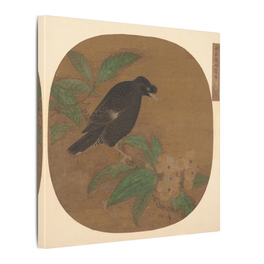 Minah Bird on a Loquat Branch on 12 × 12 matte canvas, side.