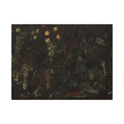 Grape Vines and Fruit, with Three Birds on 16 × 12 matte canvas, front.