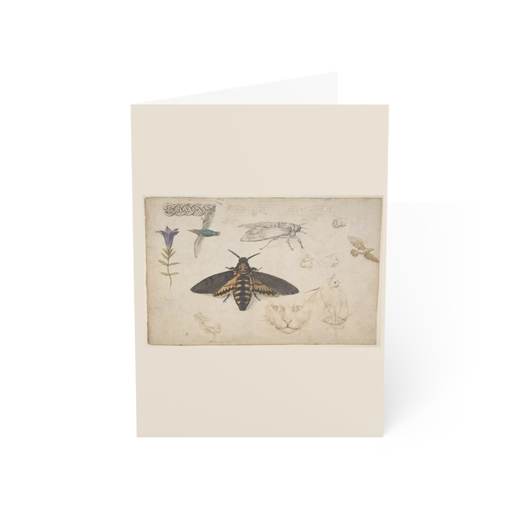 Studies of a Gentian, Moth, Birds, Cats, Interlacing Motif, and Greek Frets (recto); Ornamental Studies with Figures (verso) on 10-card blank-inside pack, front.