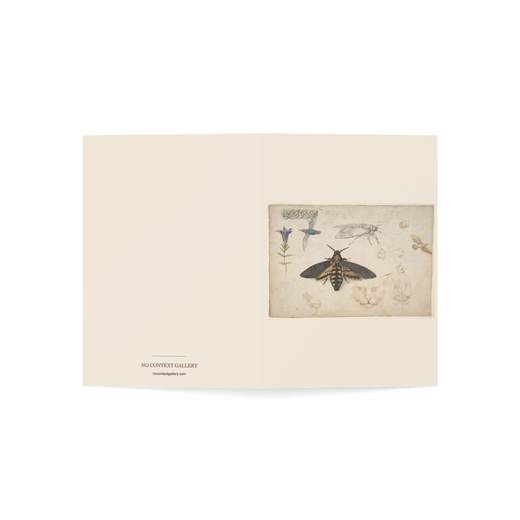 Studies of a Gentian, Moth, Birds, Cats, Interlacing Motif, and Greek Frets (recto); Ornamental Studies with Figures (verso) on 10-card blank-inside pack, open cover.