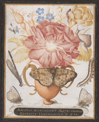 Still Life with Flowers, a Snail and Insects by Joris Hoefnagel.