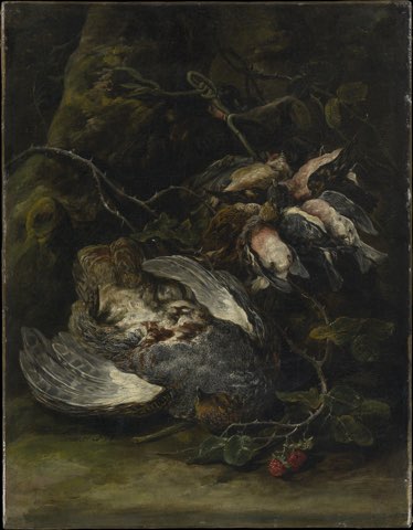 A Partridge and Small Game Birds by Jan Fyt.