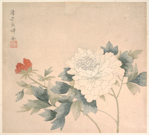 Flower Study by Yun Bing.