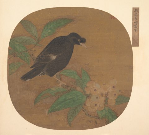 Minah Bird on a Loquat Branch by Unidentified artist.