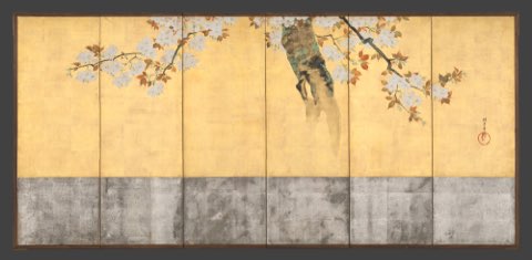Blossoming Cherry Trees by Sakai Hōitsu.
