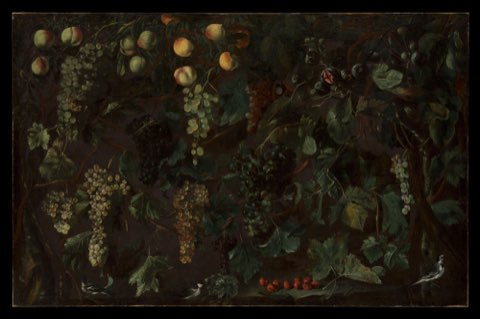 Grape Vines and Fruit, with Three Birds by Bartolomeo Cavarozzi.
