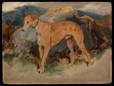 A Deerhound by Sir Edwin Henry Landseer.