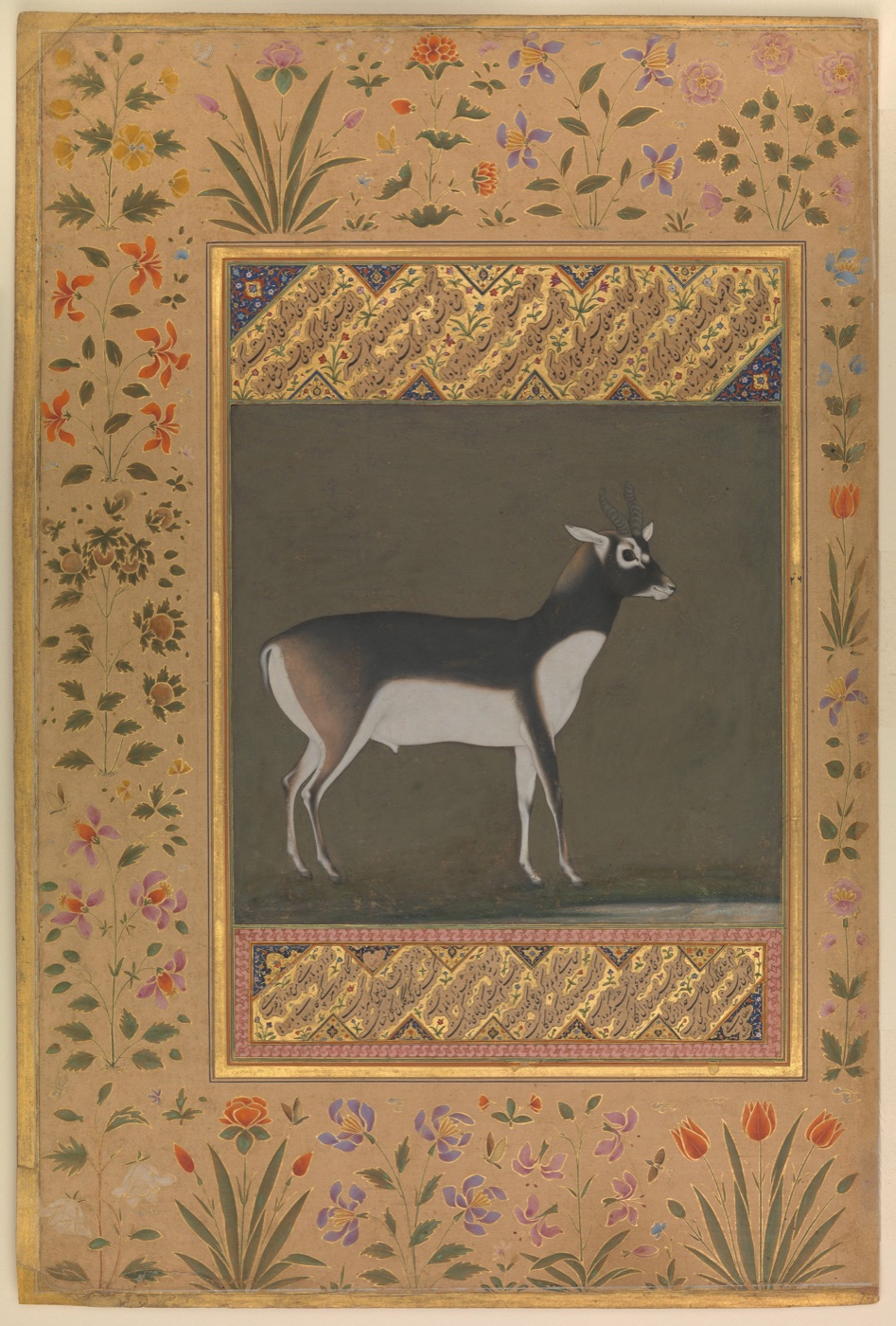 A black buck stands in profile within a decorative album-page border.