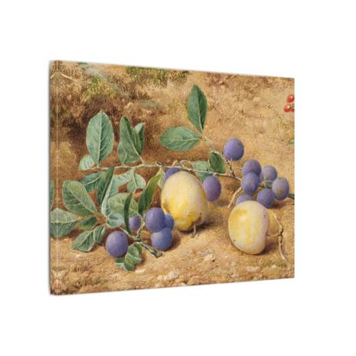 Plums on 16 × 12 matte canvas, side.