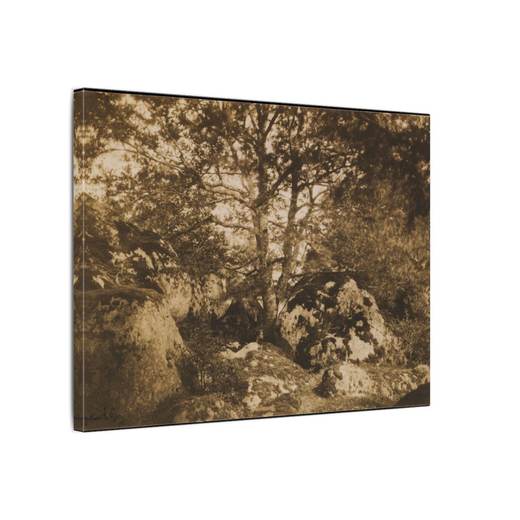 [Oak Tree and Rocks, Forest of Fontainebleau] on 16 × 12 matte canvas, side.
