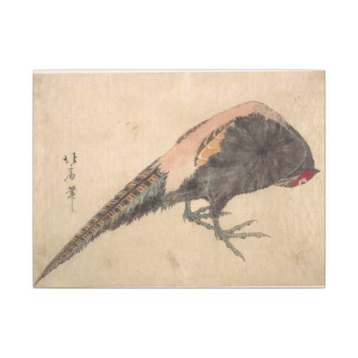 Bird on 16 × 12 matte canvas, front.