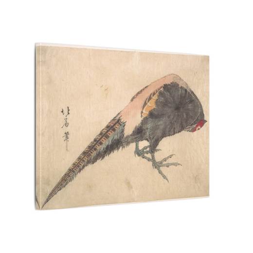 Bird on 16 × 12 matte canvas, side.