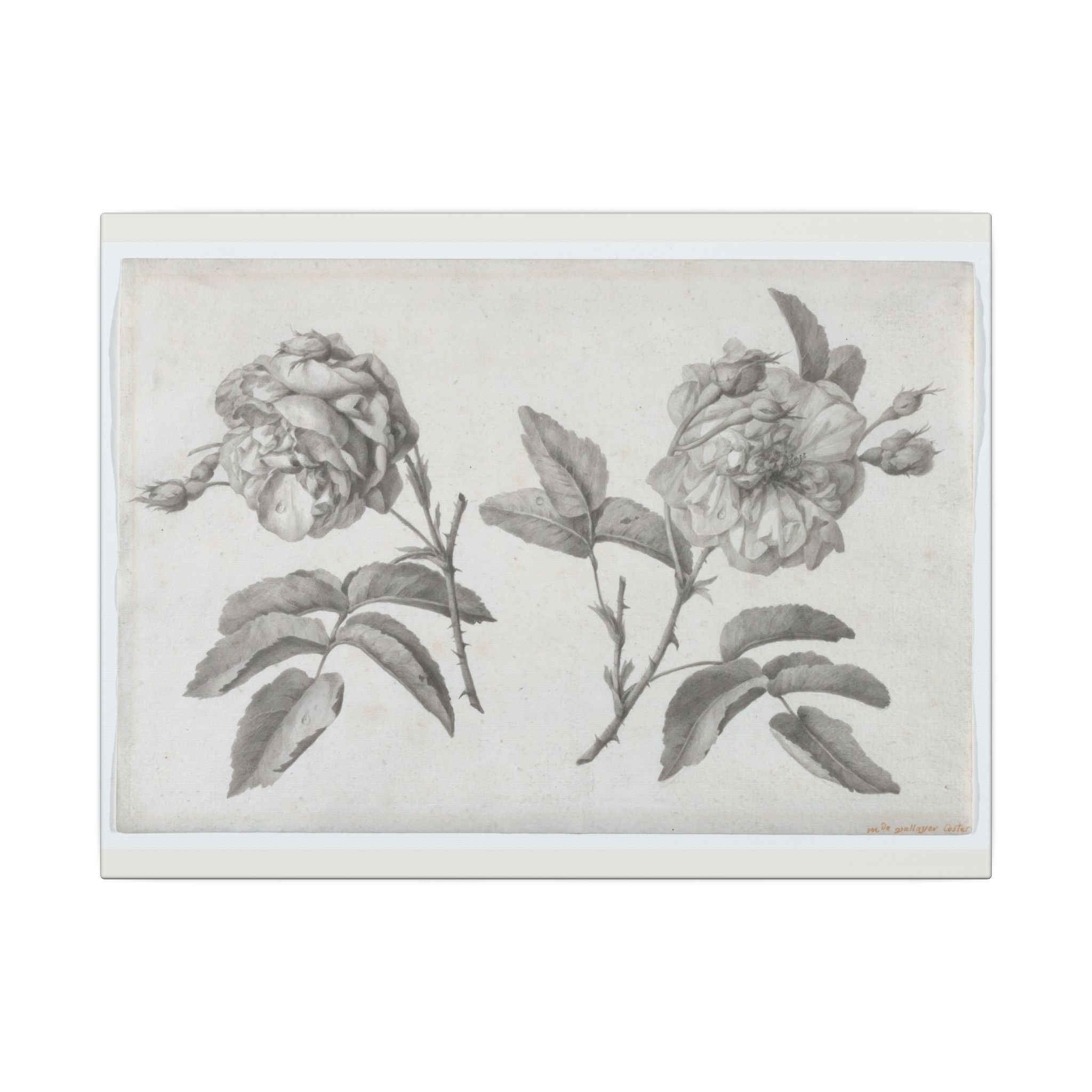 Two Roses by Anne Vallayer-Coster · Matte Canvas