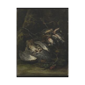 A Partridge and Small Game Birds by Jan Fyt · Matte Canvas