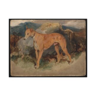 A Deerhound · Matte Canvas