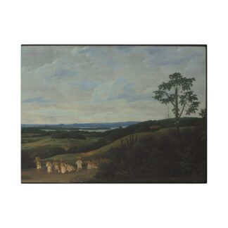 A Brazilian Landscape · Matte Canvas
