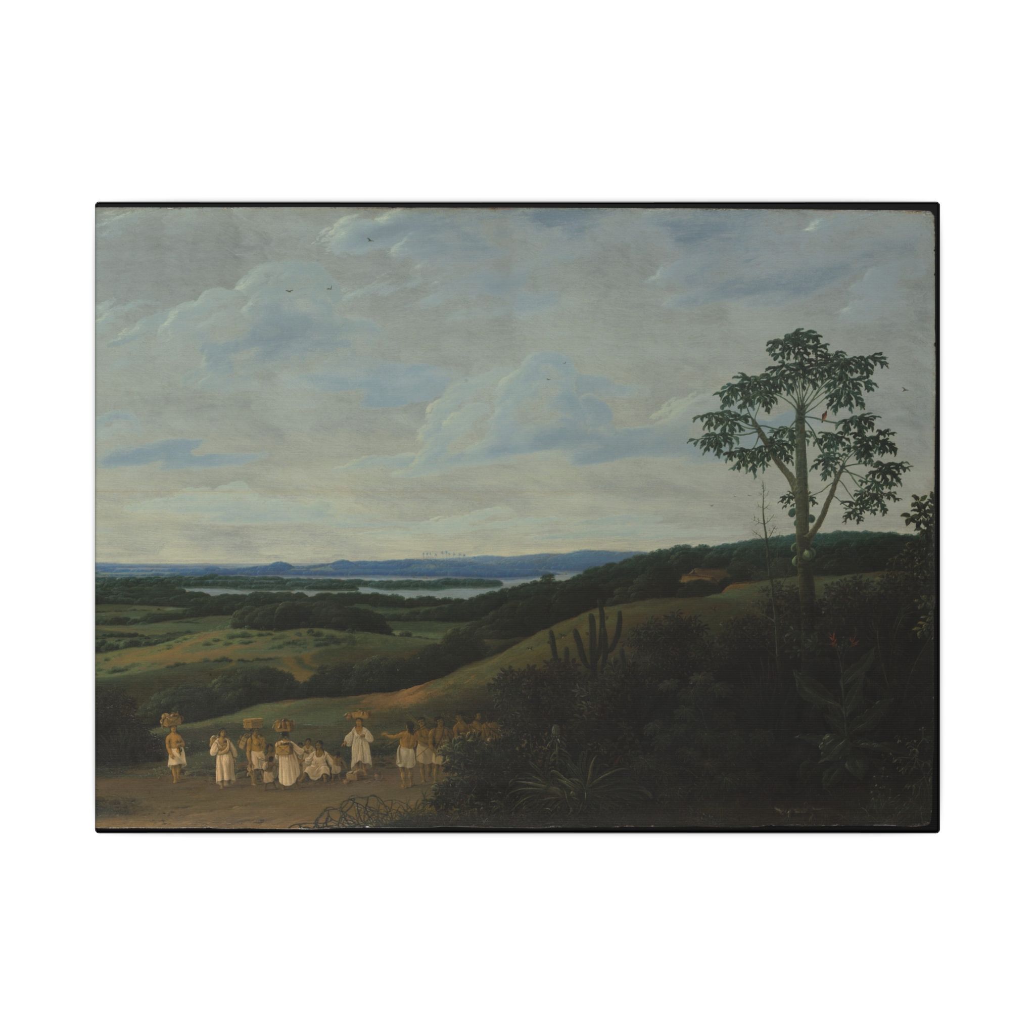 A Brazilian Landscape · Matte Canvas