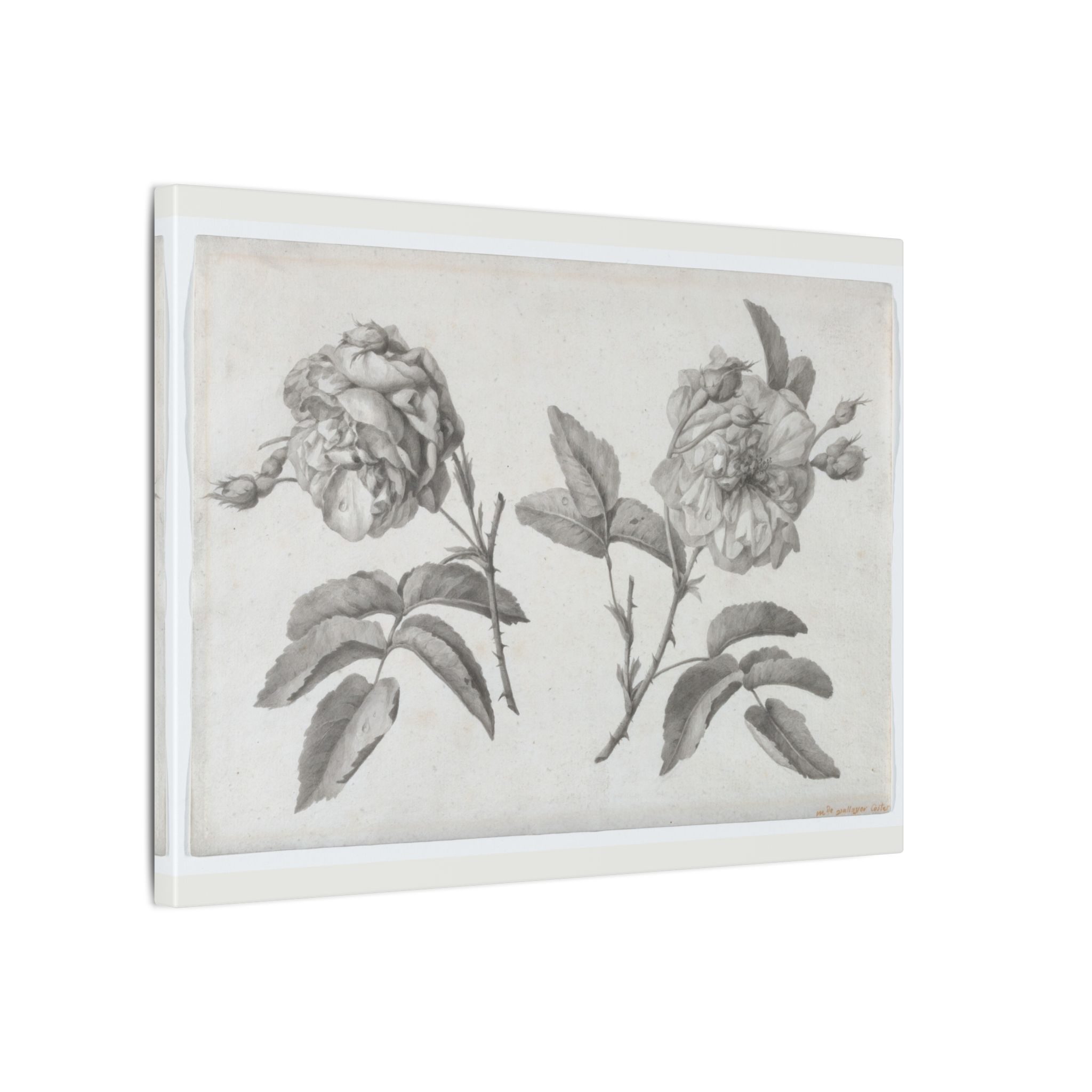 Two Roses by Anne Vallayer-Coster · Matte Canvas - Image 2