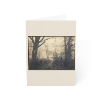 [Fontainebleau Forest] · Blank Card Pack