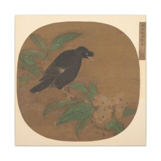 Minah Bird on a Loquat Branch · Matte Canvas