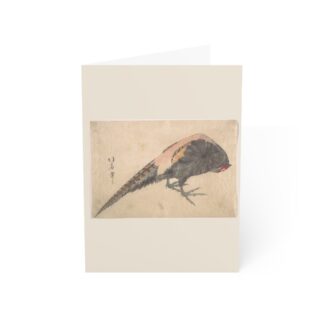 Bird · Blank Card Pack