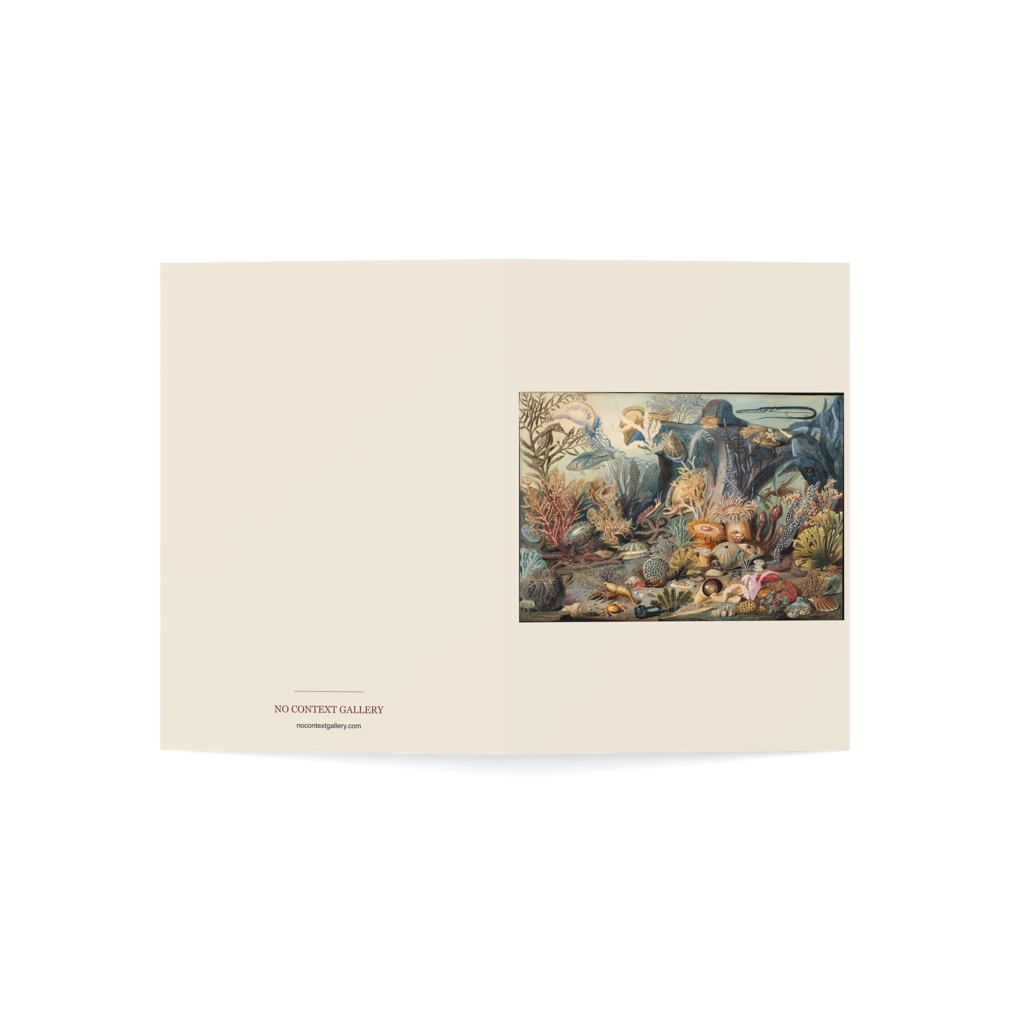 Ocean Life · Blank Card Pack - Image 3