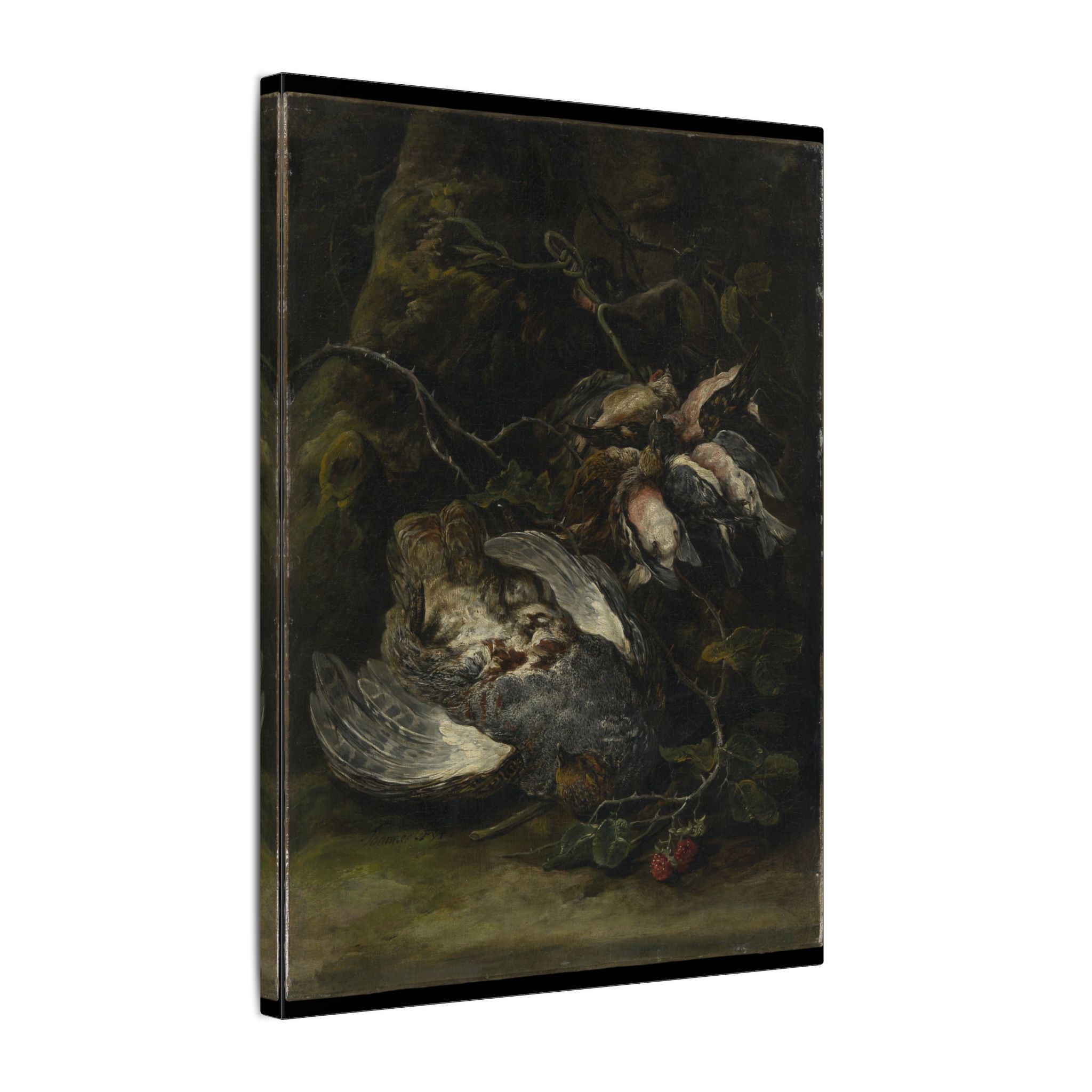 A Partridge and Small Game Birds by Jan Fyt · Matte Canvas - Image 2