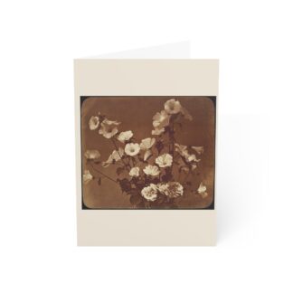 [Flower Study, Rose of Sharon] · Blank Card Pack